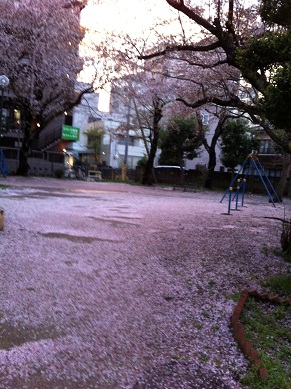 2013040301.jpg
