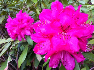 2013040701.jpg