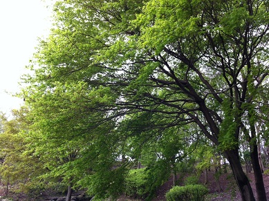 2013040702.jpg
