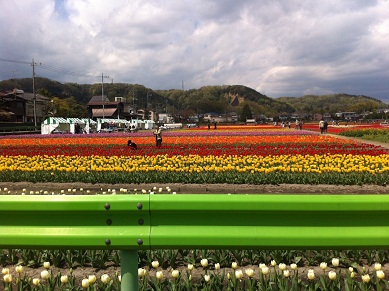 2013041102.jpg