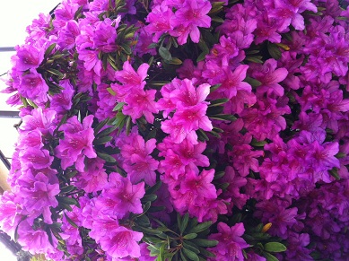 2013050601.jpg