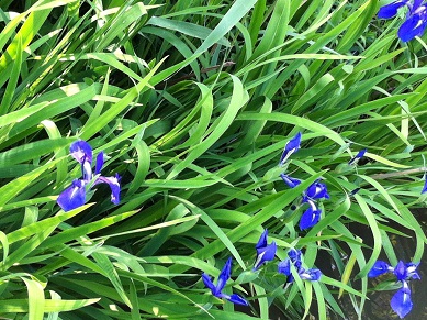 2013050603.jpg