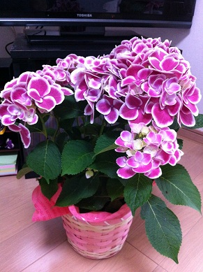 2013051302.jpg
