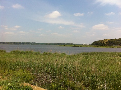 2013051806.jpg