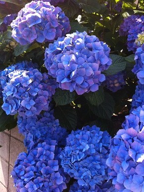 2013060903.jpg