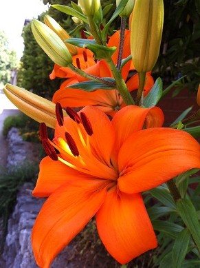 2013060904.jpg