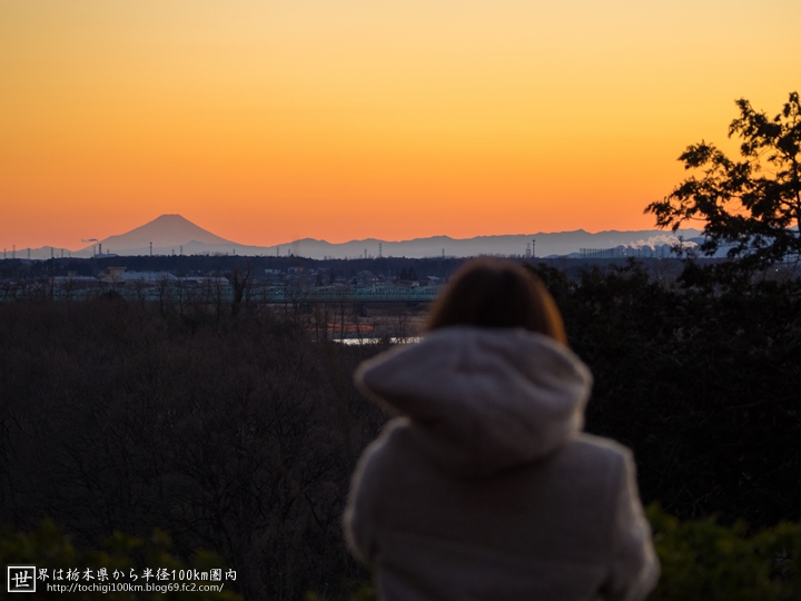 飛山城址公園 富士山を見る