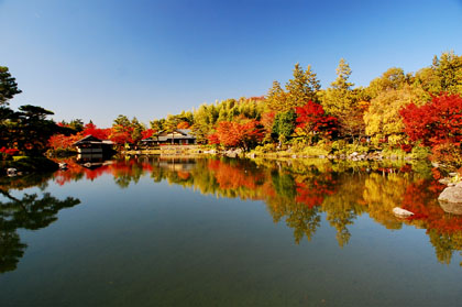 昭和公園_日本庭園B