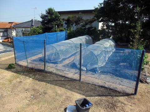 防風ネット補修