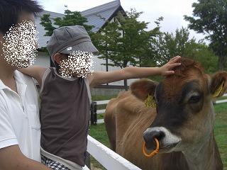 画像画像 103