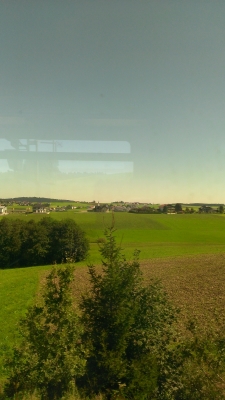 IMAG0275.jpg