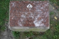 wien2011.jpg
