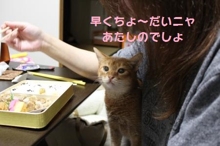 IMG_2192_convert_20130521023911.jpg