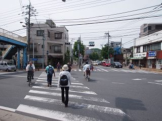 P5200542s.jpg