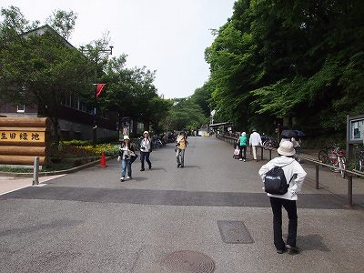 P5200545s.jpg