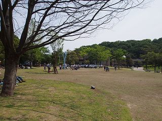 P5200555s.jpg