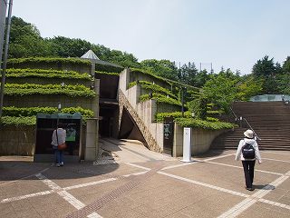P5200563s.jpg