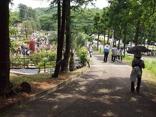 P5200595s.jpg