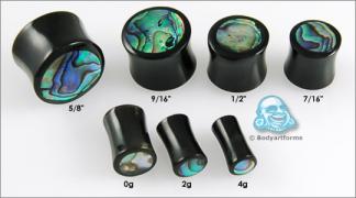 BAF-abalone-hornplug