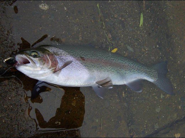 20080621_2.jpg