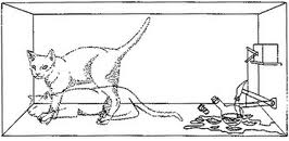 「シュレーディンガーの猫」