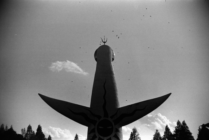 万博TriX33_700px