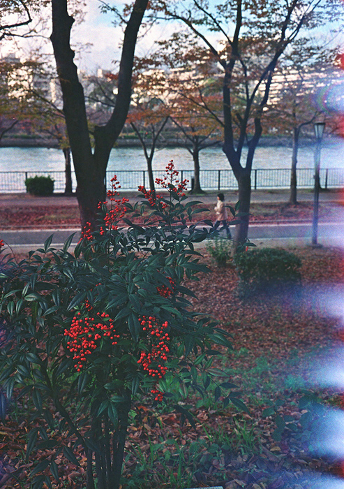Dec01$12.jpg