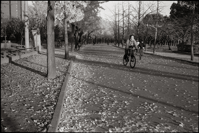 Dec06$29.jpg
