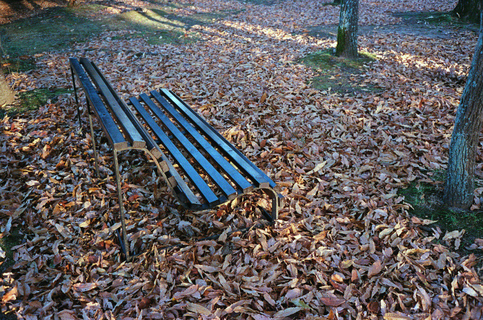 Dec12$60_700px.jpg