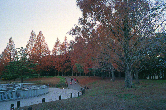 Dec12$65_700px.jpg