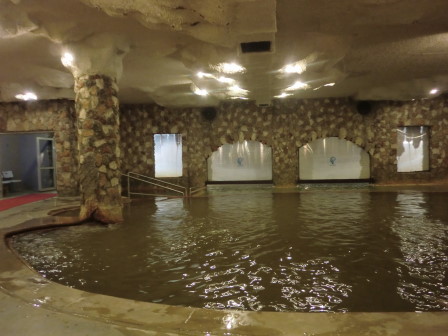 パムの室内温泉プール