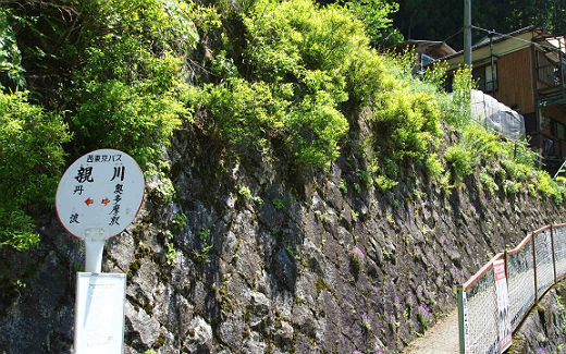 親川