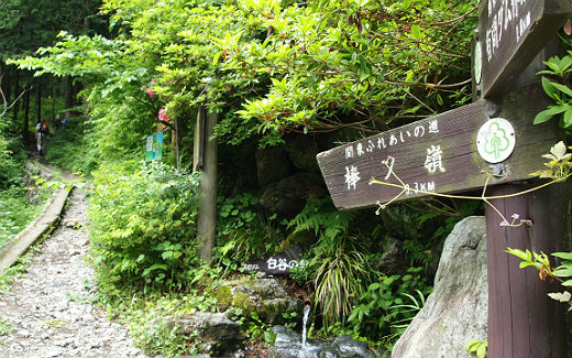 棒ノ嶺登山口