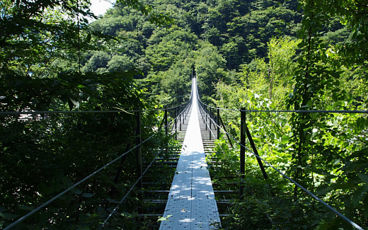 畑薙大吊橋