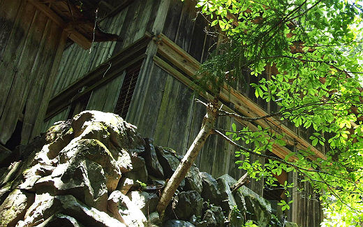 廃屋跡