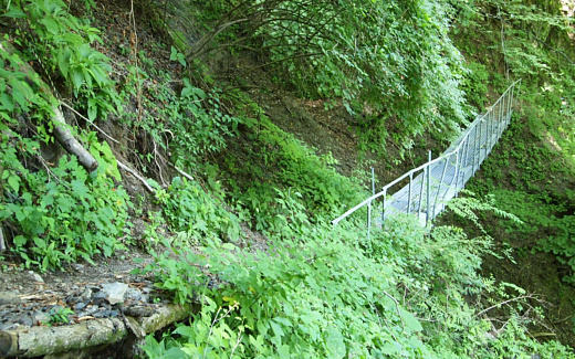 足場の悪い登山道