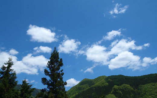 夏の空