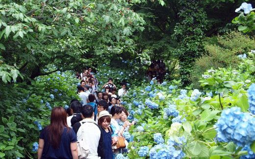 人が沢山
