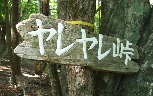 ヤレヤレ峠