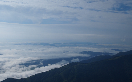 雲海
