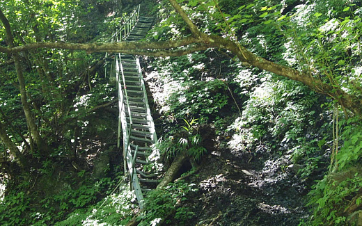 登る