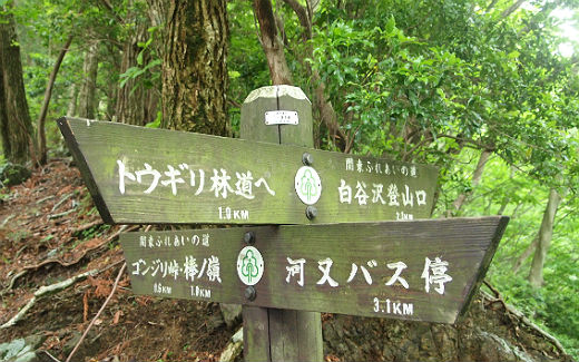岩茸石