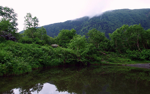 白根お池