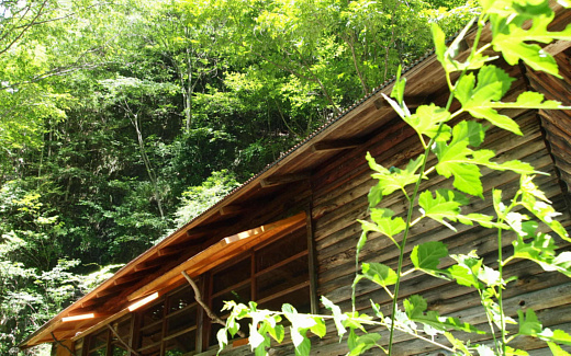 気持ちの良さそうな小屋