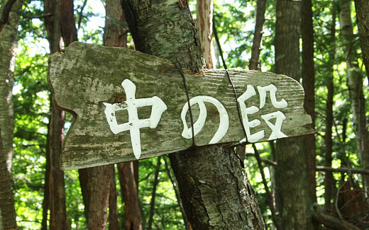 中の段
