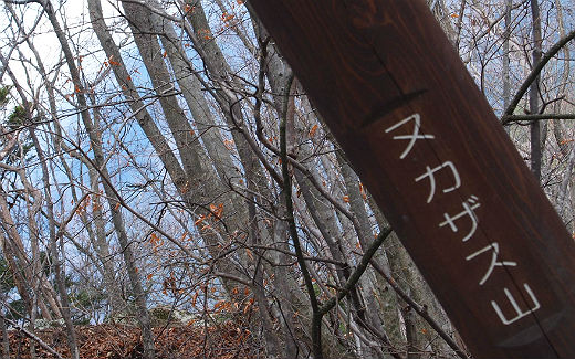 ヌカザス山