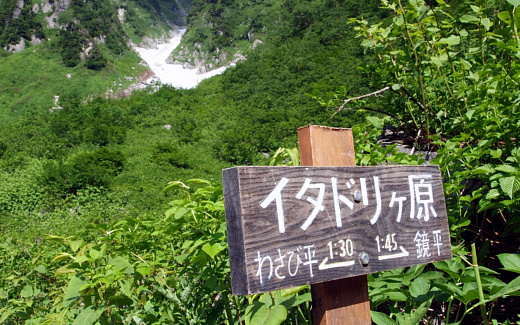 イタドリヶ原