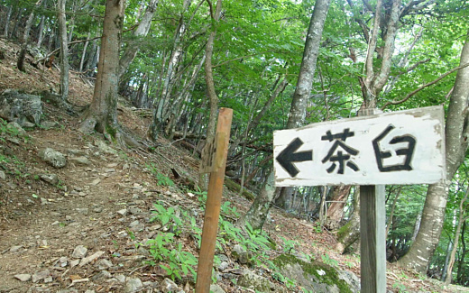 横窪沢小屋を後にして