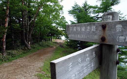 石尾根縦走路