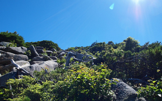 岩場